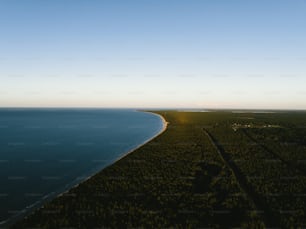 um grande corpo de água sentado ao lado de uma floresta verde exuberante