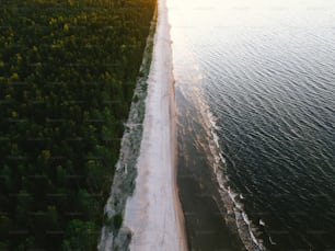 an aerial view of a beach and trees