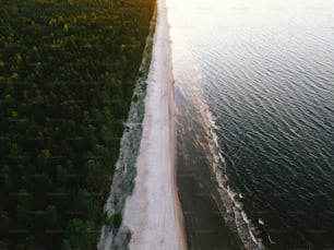 Eine Luftaufnahme eines Strandes und von Bäumen