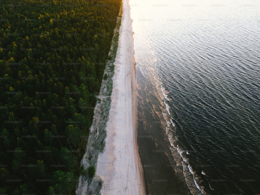 an aerial view of a beach and trees