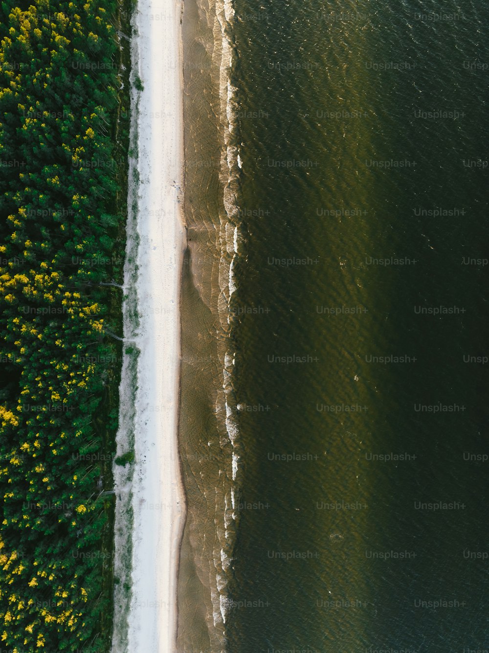 uma vista aérea de uma praia e um corpo de água