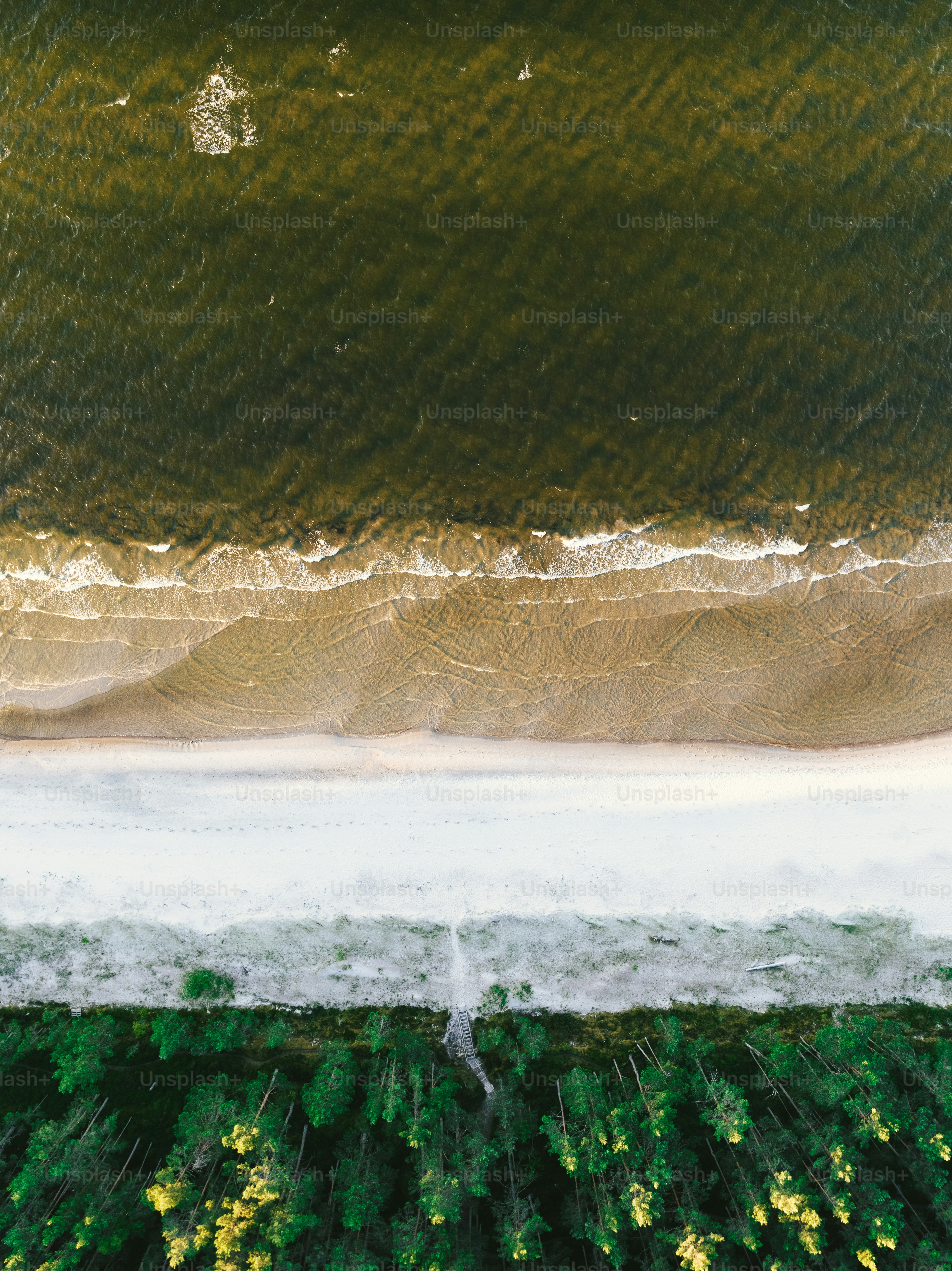 an aerial view of a beach and a body of water