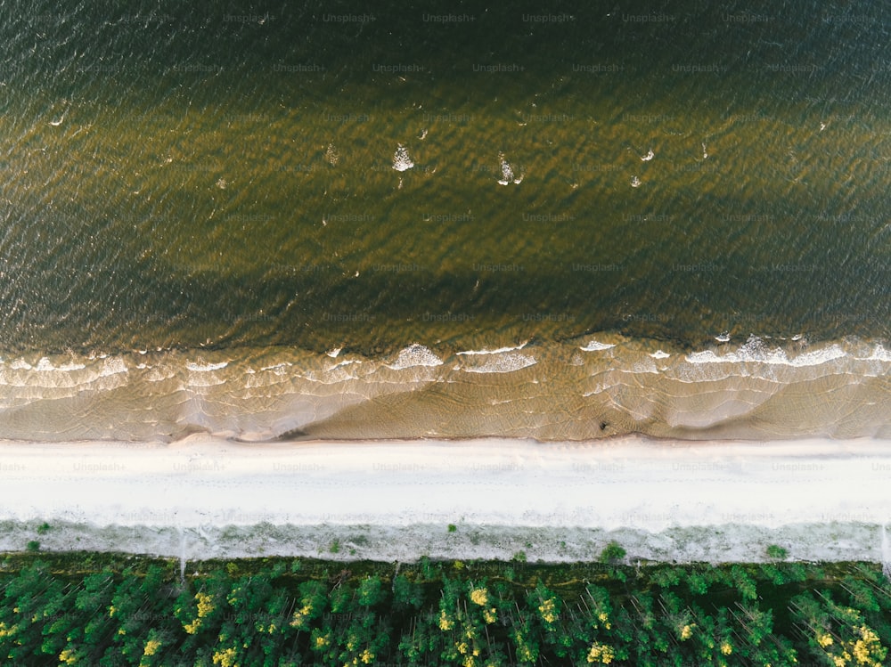 an aerial view of a beach and a body of water