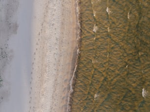 Una vista a volo d'uccello di una spiaggia sabbiosa
