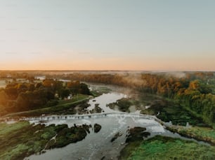 a river running through a lush green forest