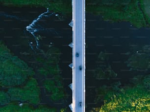 an aerial view of a road in the middle of a forest