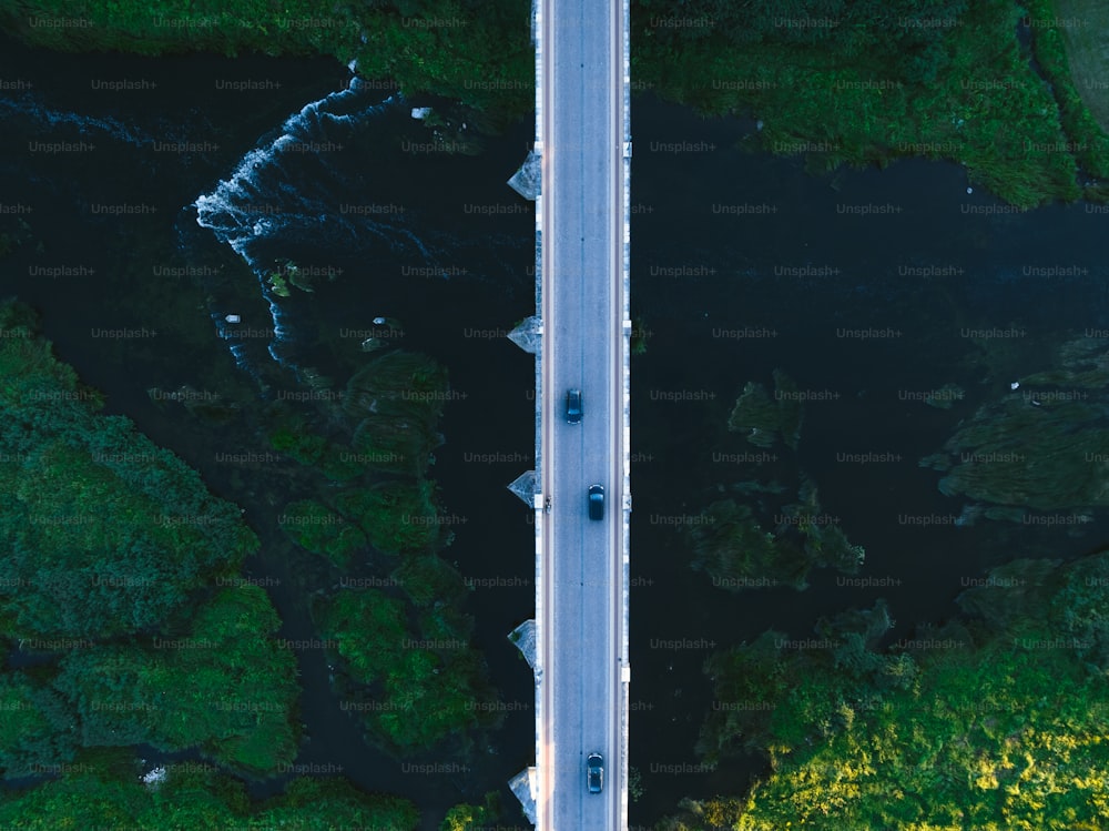 森の真ん中にある道路の空中写真