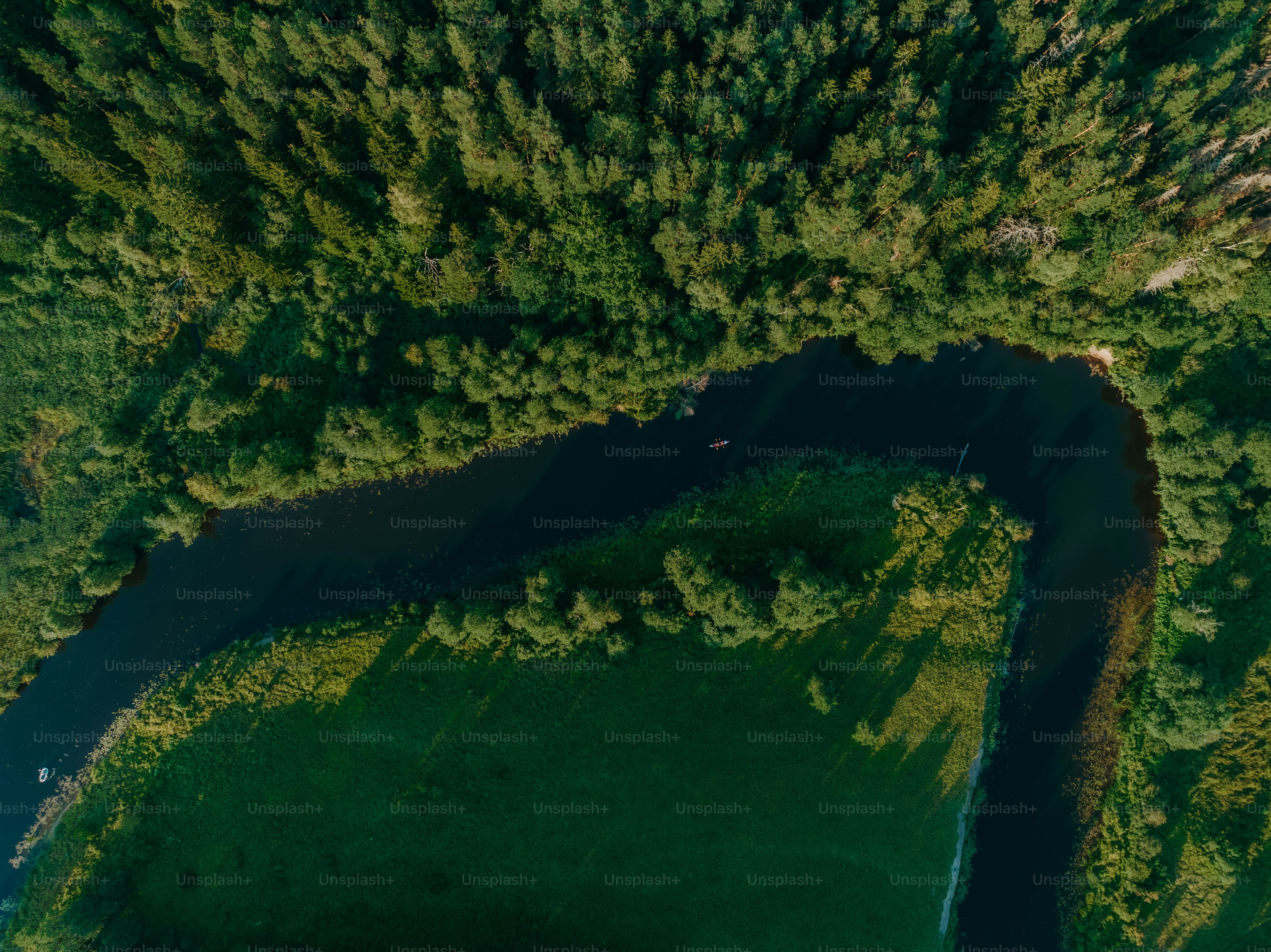 an aerial view of a river running through a lush green forest