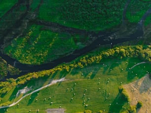 an aerial view of a lush green valley