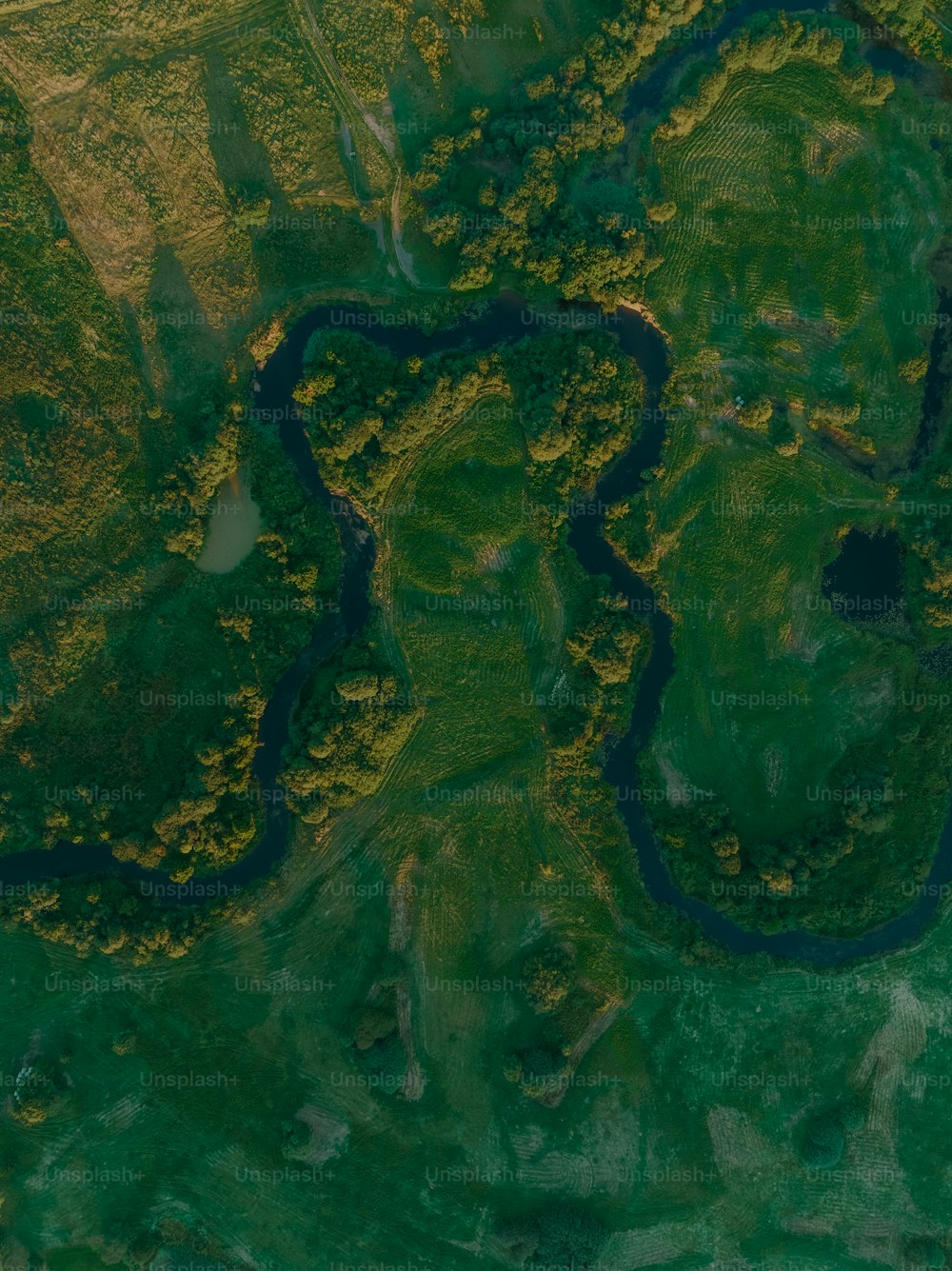 uma vista aérea de um rio que corre através de um campo verde exuberante
