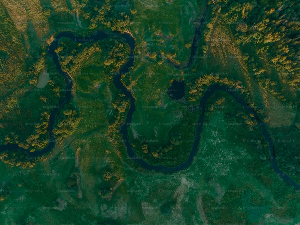 Una veduta aerea di un fiume che attraversa un rigoglioso campo verde