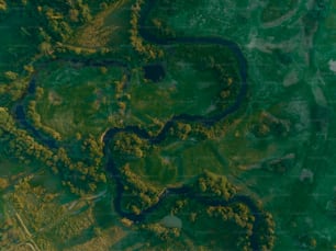 an aerial view of a grassy area with a river running through it