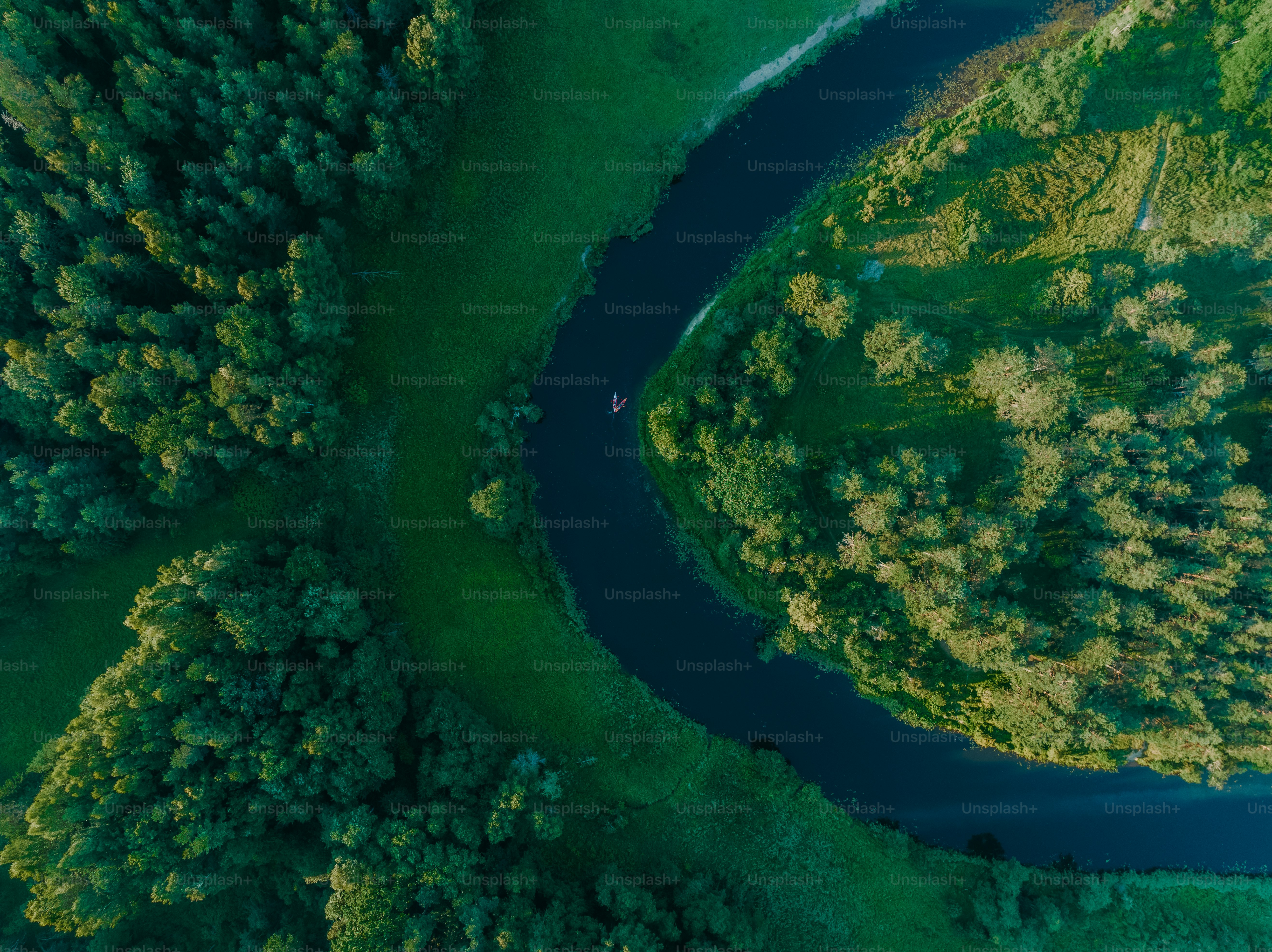 a river running through a lush green forest