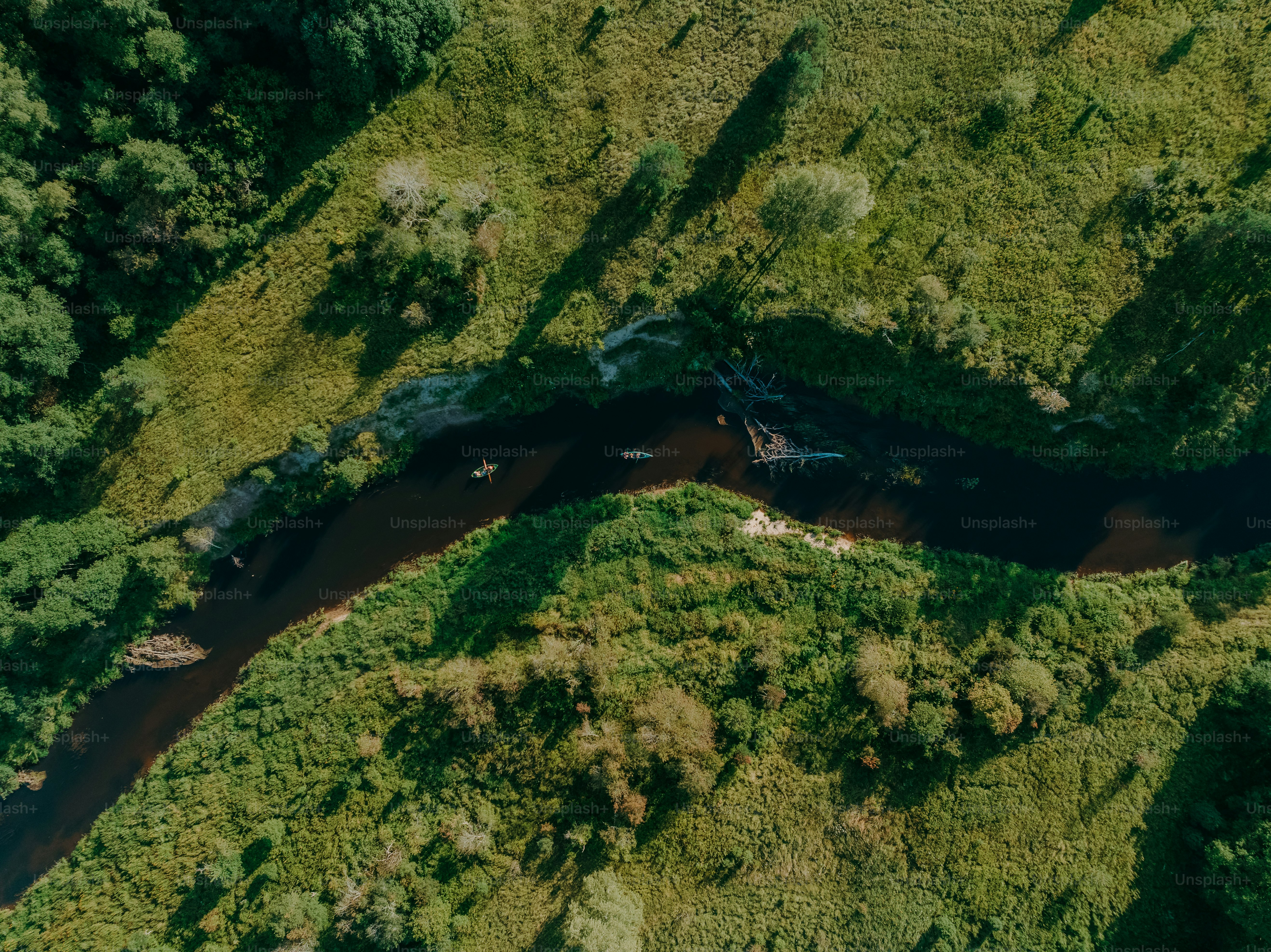 an aerial view of a river running through a lush green forest