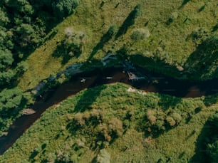 an aerial view of a river running through a lush green forest