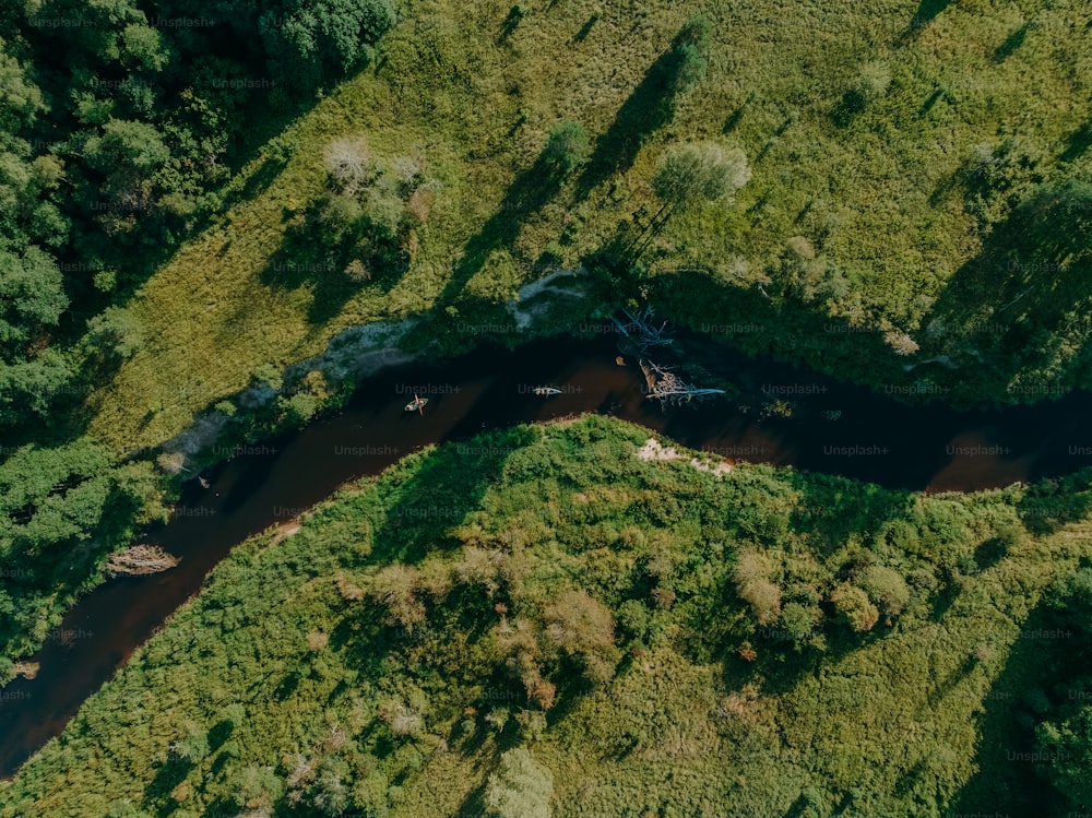 Una veduta aerea di un fiume che attraversa una lussureggiante foresta verde