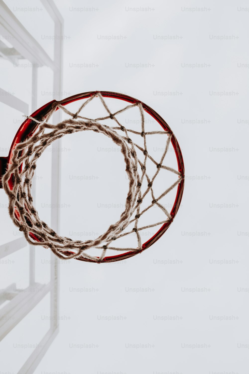 500+ Basket Pictures  Download Free Images on Unsplash