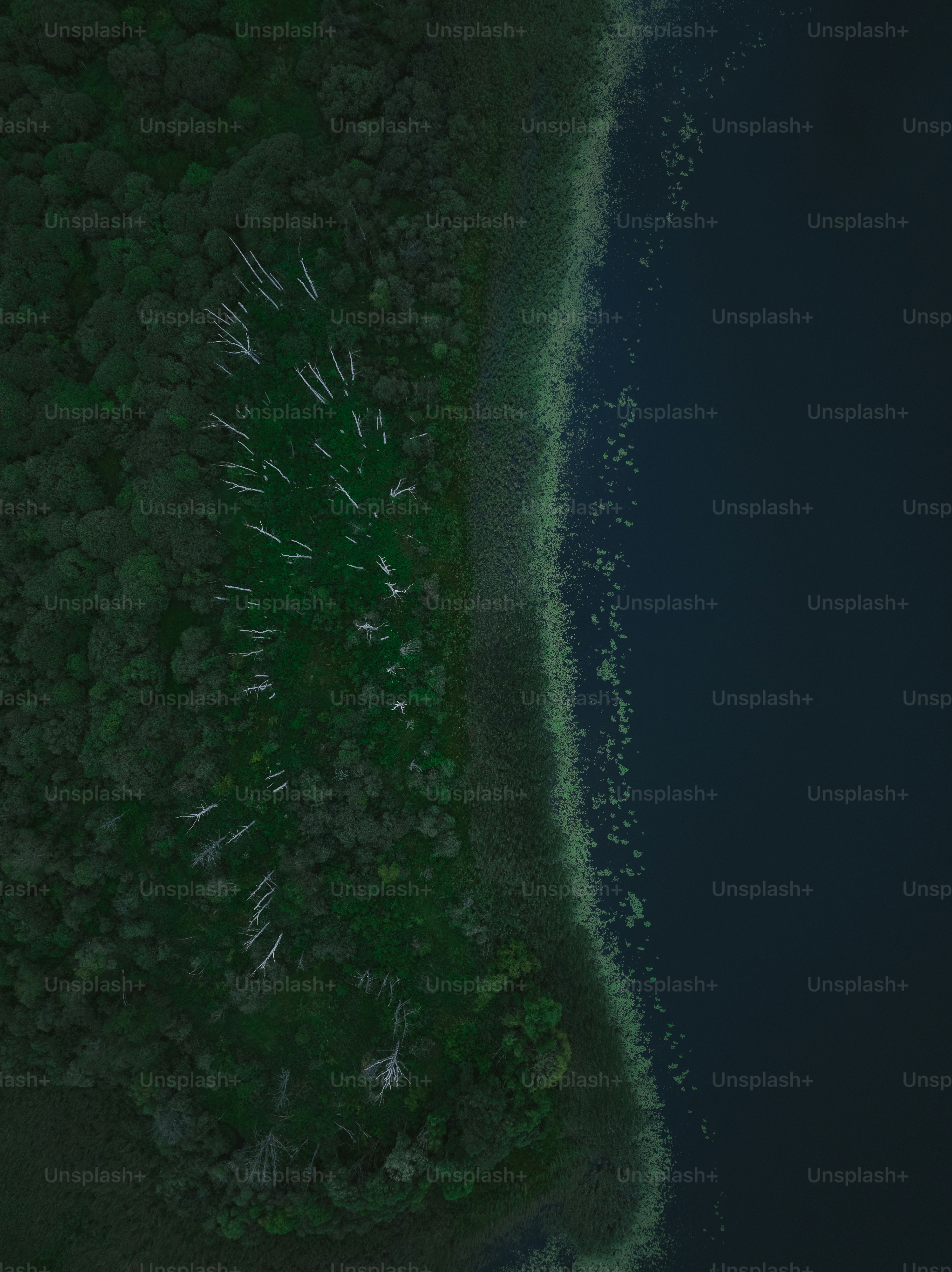 an aerial view of a large body of water