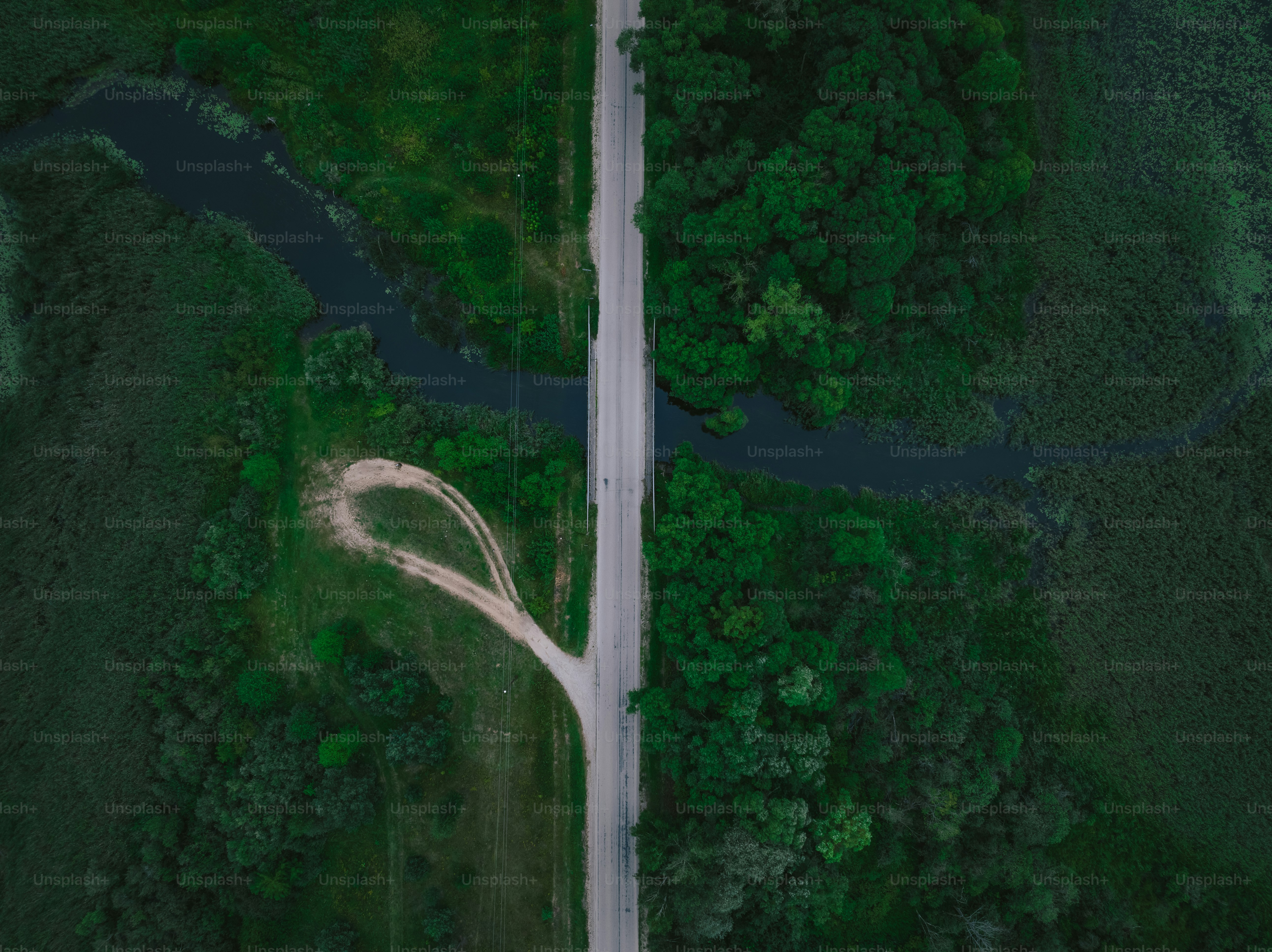 an aerial view of a road in the middle of a forest