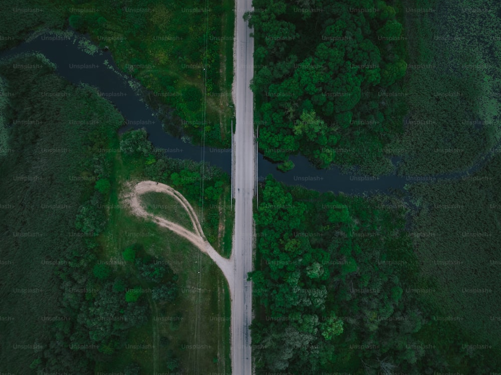 an aerial view of a road in the middle of a forest