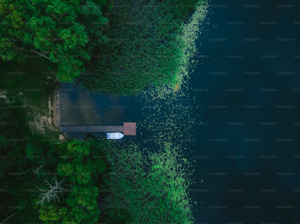 une vue aérienne d’une maison au milieu d’une forêt