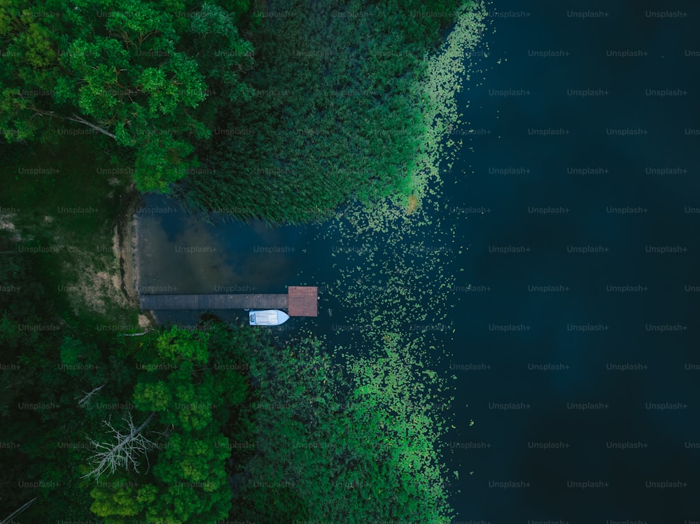 an aerial view of a house in the middle of a forest