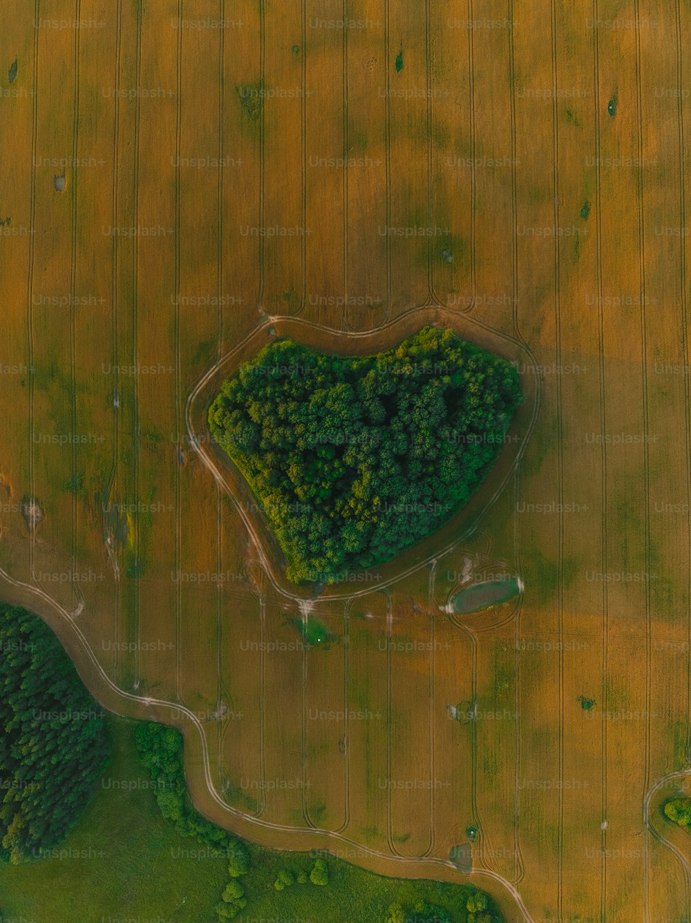 an aerial view of a heart shaped tree