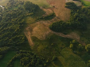Eine Luftaufnahme eines Feldweges, der von Bäumen umgeben ist
