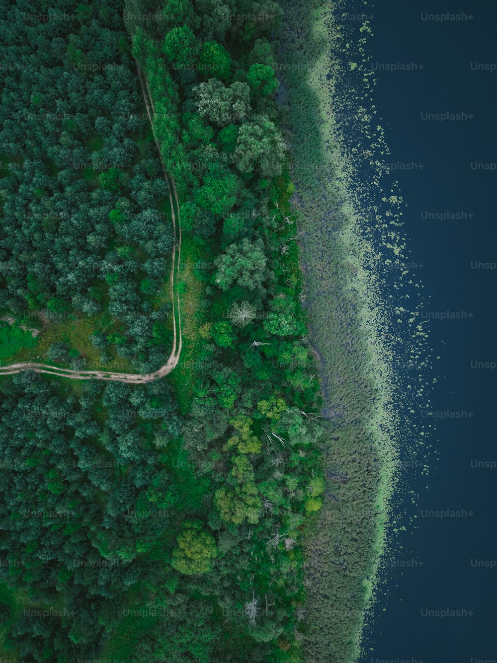 an aerial view of a road in the middle of a forest