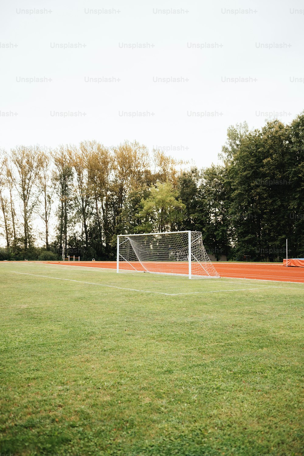 Una porta di calcio in un campo con alberi sullo sfondo