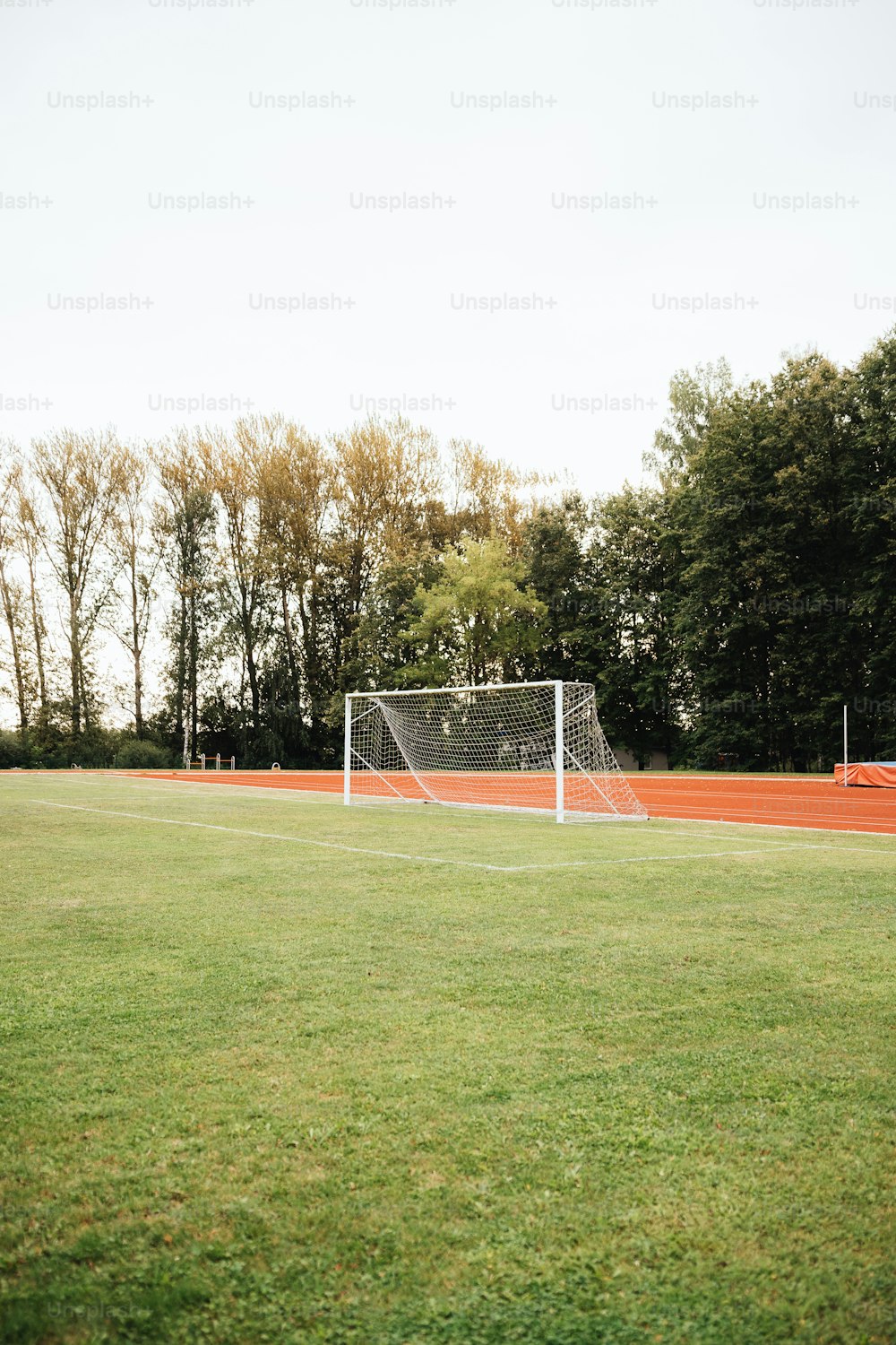 a soccer goal in a field with trees in the background