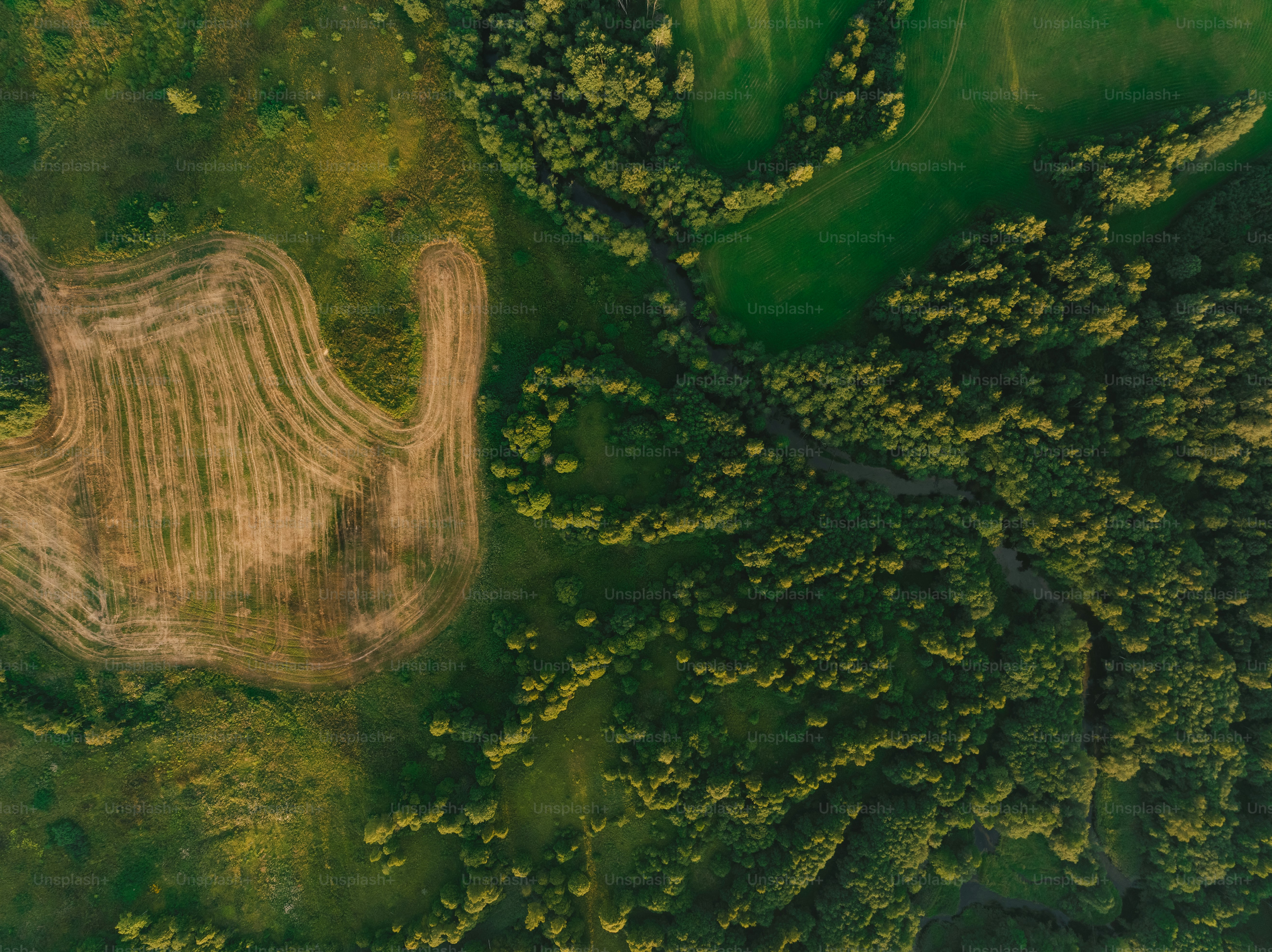 Una vista aérea de un camino de tierra en medio de un bosque