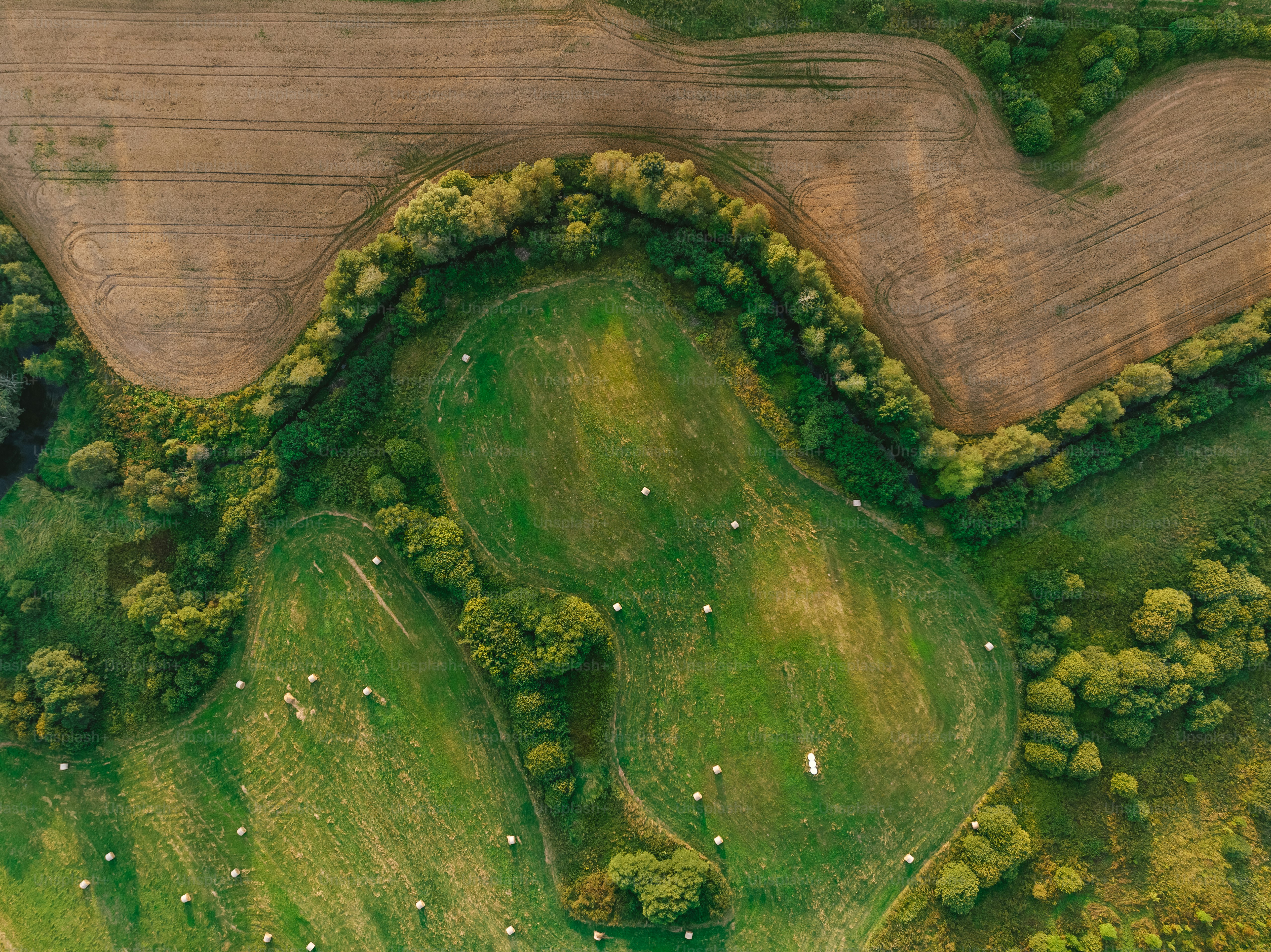 An aerial view of a green golf course photo Drone photography Image on Unsplash