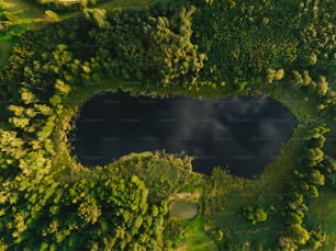 an aerial view of a lake surrounded by trees