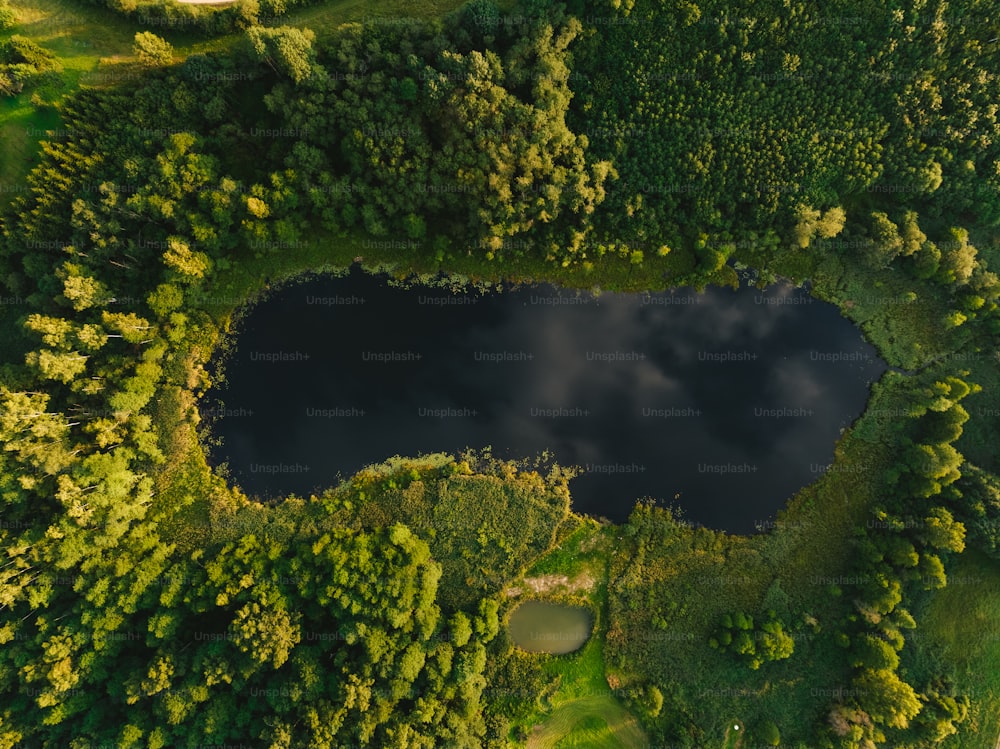 an aerial view of a lake surrounded by trees