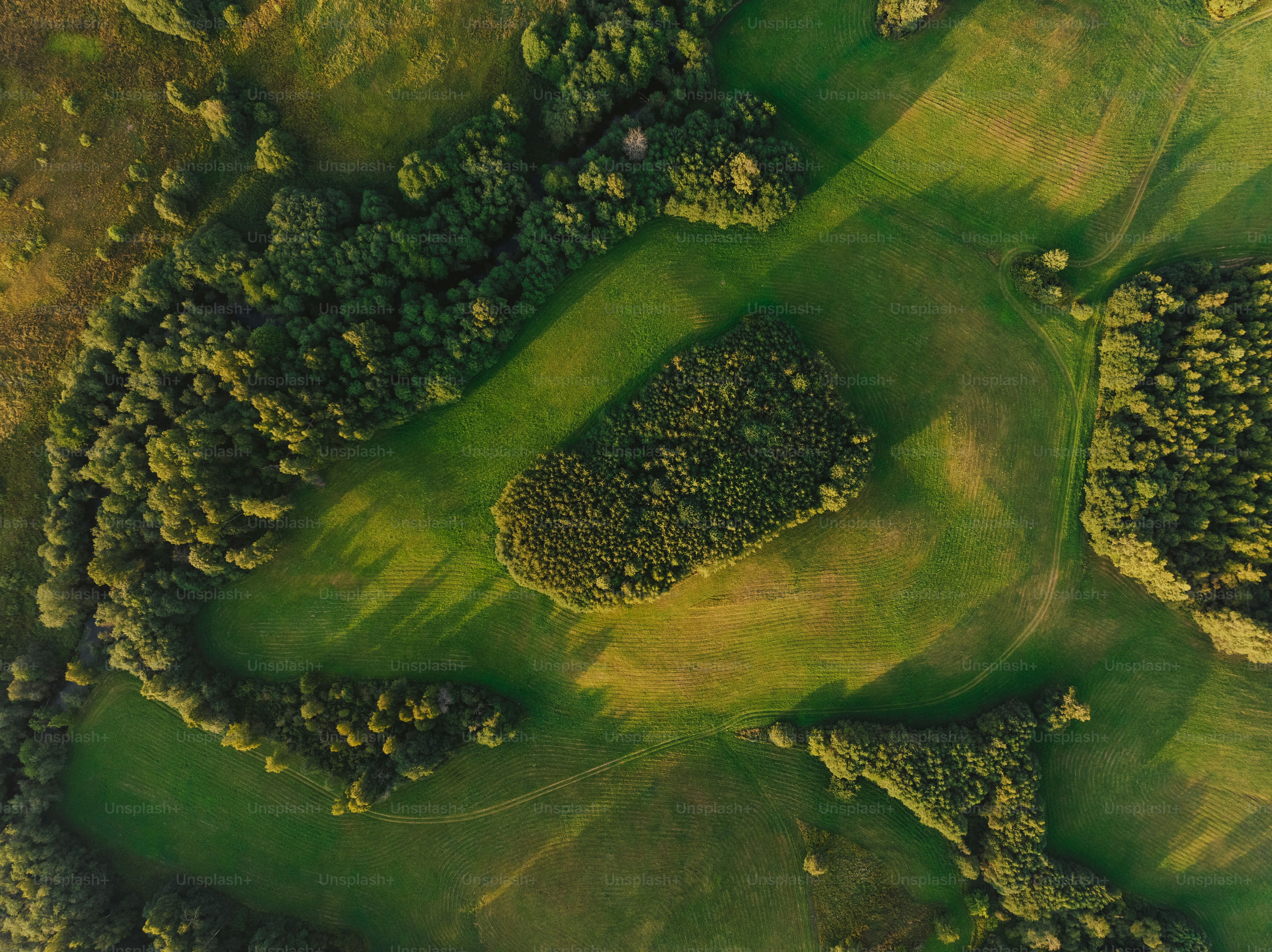 Una vista aérea de un campo de golf rodeado de árboles