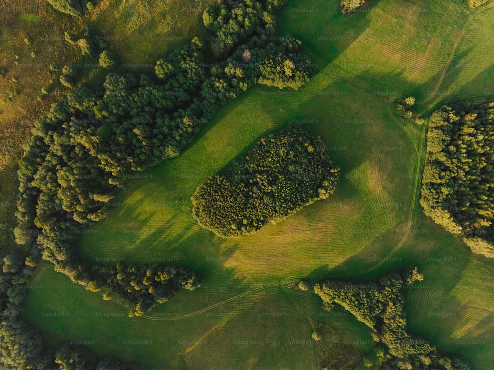 une vue aérienne d’un terrain de golf entouré d’arbres