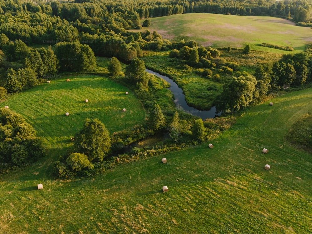 Una vista aérea de un exuberante campo verde