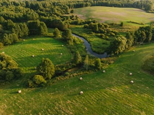 an aerial view of a lush green field