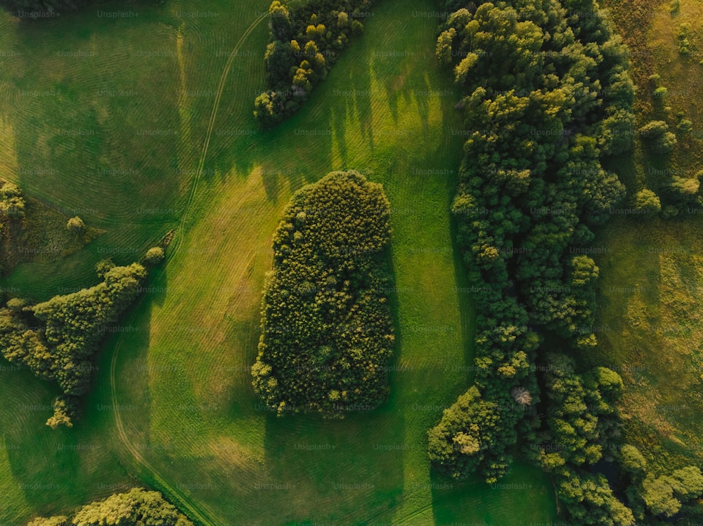 an aerial view of a lush green field