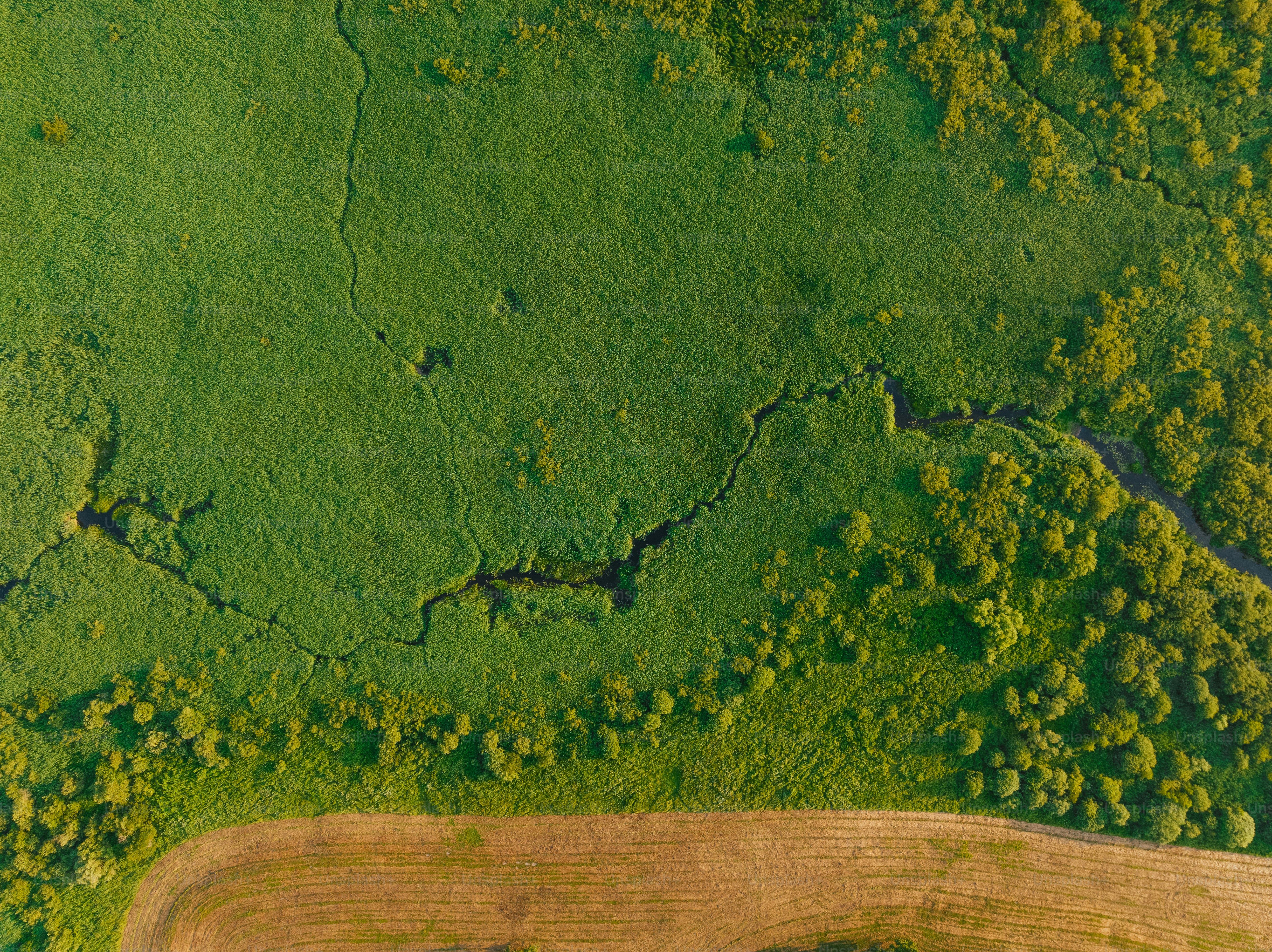 An aerial view of a green field with a river running through it photo ...