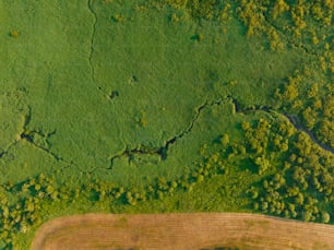 an aerial view of a green field with a river running through it