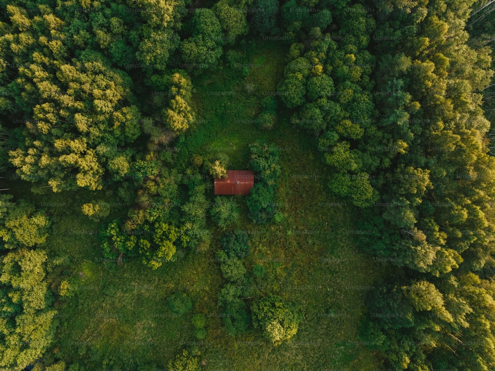 uma vista aérea de uma cabana vermelha no meio de uma floresta