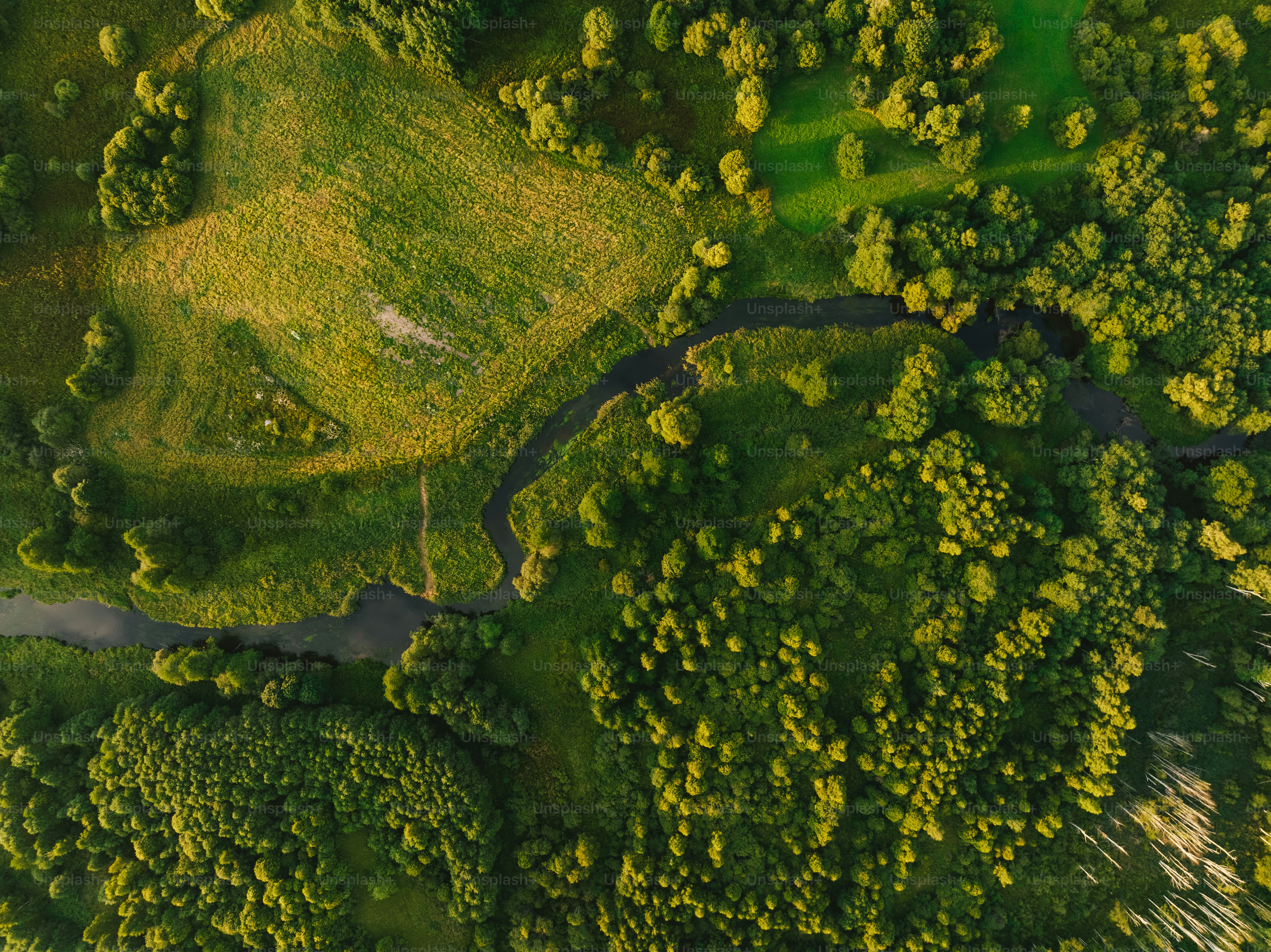 Una veduta aerea di un fiume che attraversa una lussureggiante foresta verde