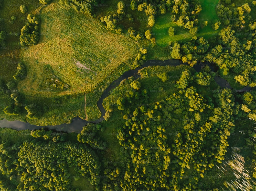 an aerial view of a river running through a lush green forest