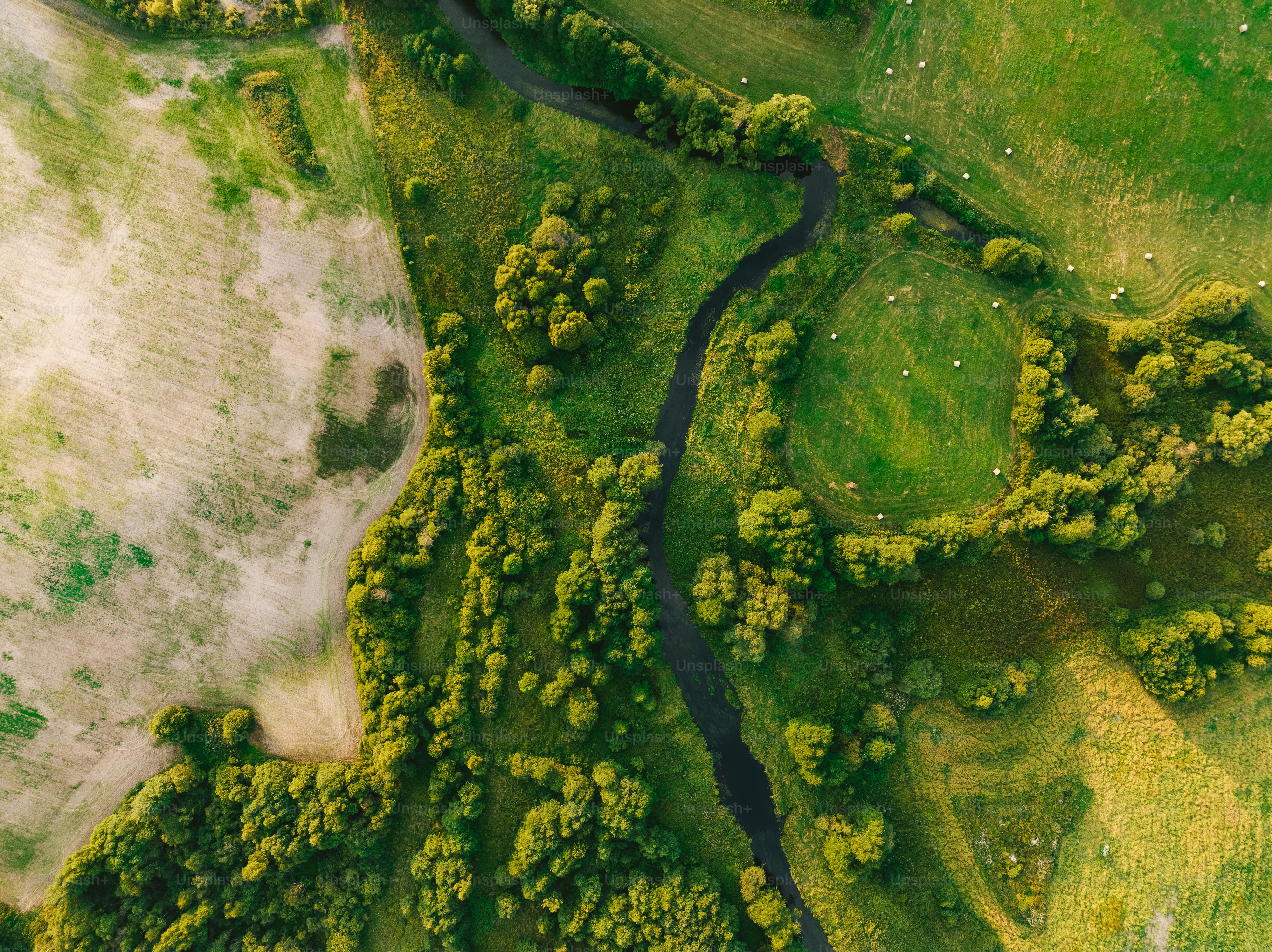 Una vista aérea de un río que atraviesa un exuberante campo verde
