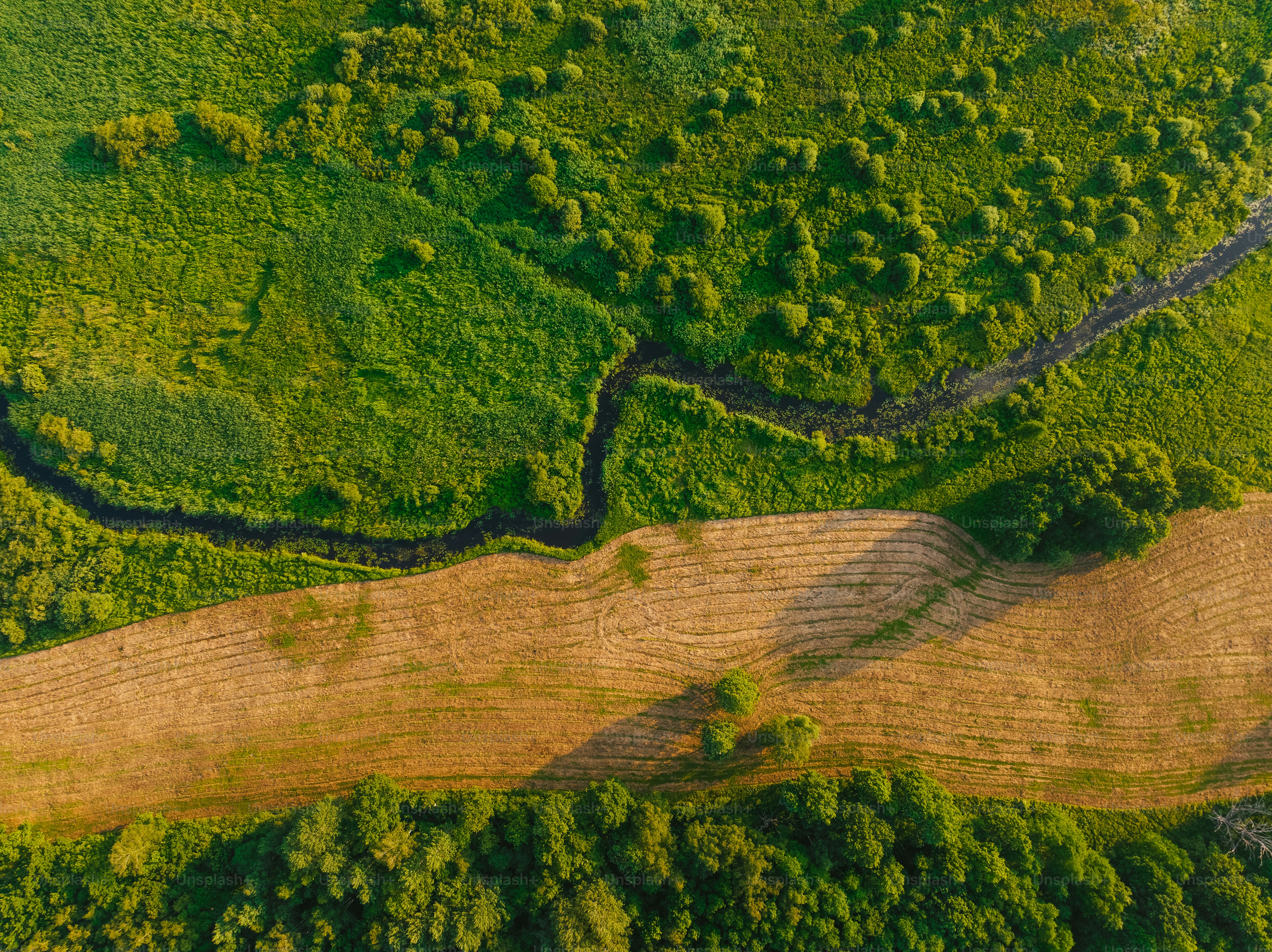 An aerial view of a river running through a lush green forest photo ...