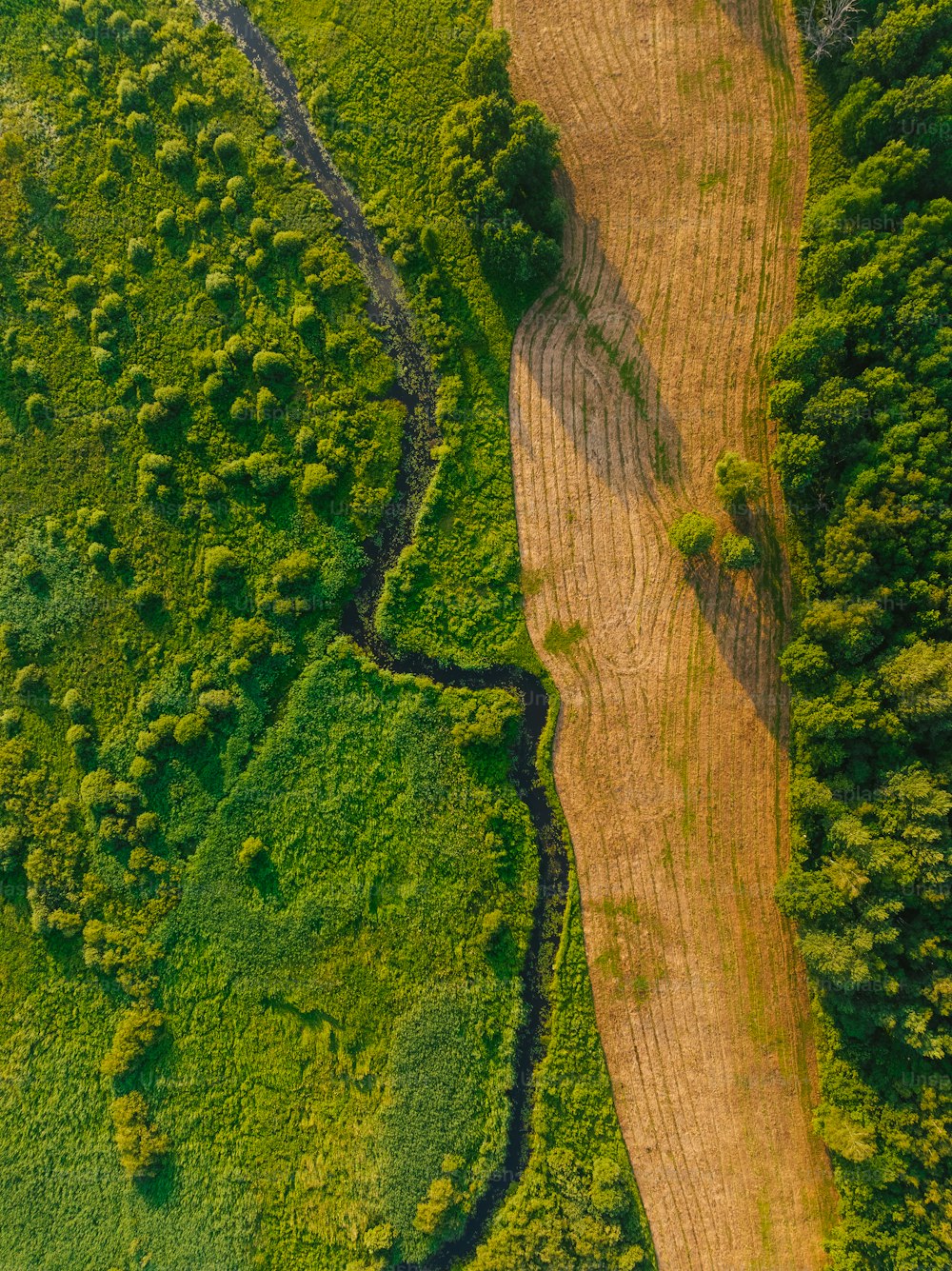 Una vista aérea de un camino de tierra rodeado de árboles