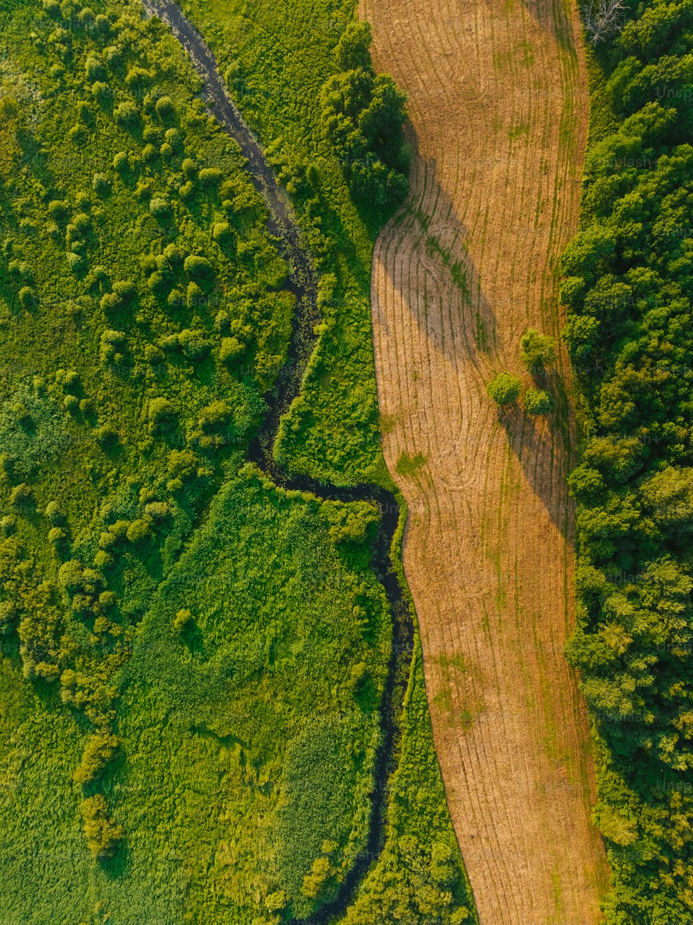 an aerial view of a dirt road surrounded by trees