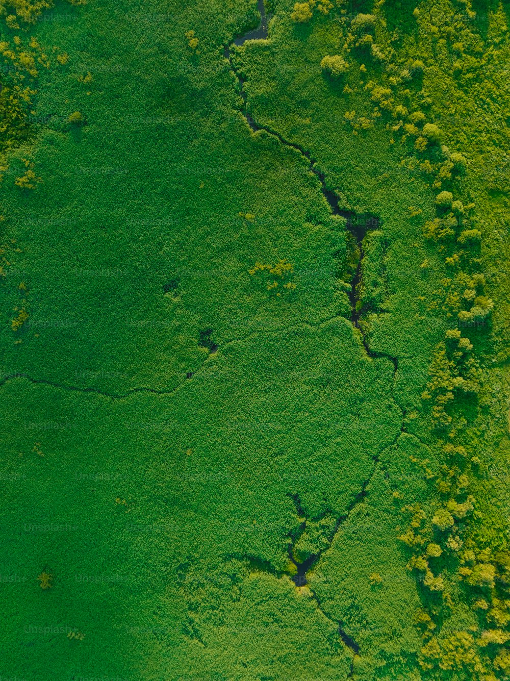 an aerial view of a green field with trees